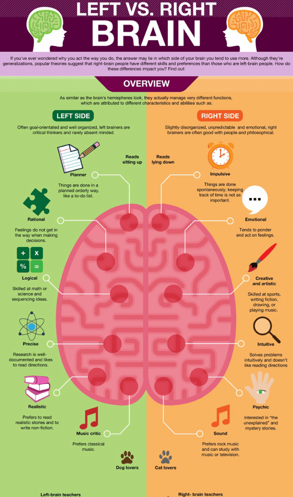 comparing characteristics of our brain hemispheres