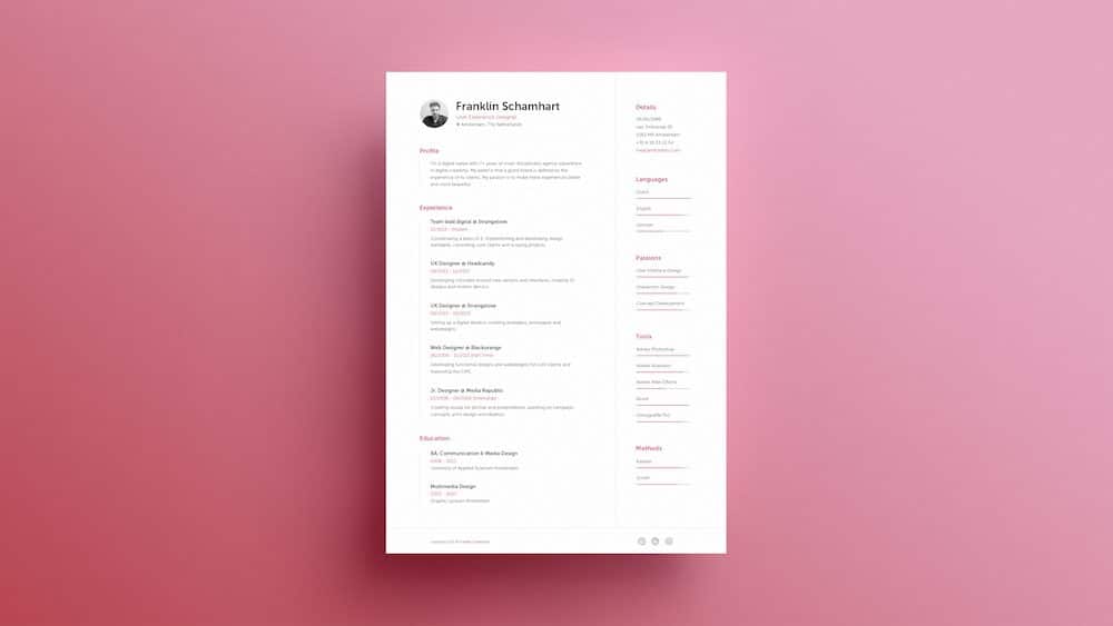 basic resume format