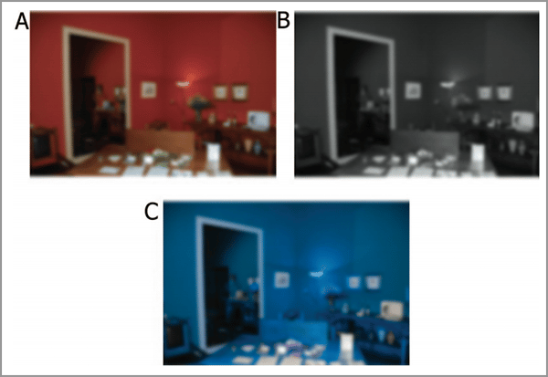 color visual examples in the experiment to assess visual processing and test our primary visual cortex skills