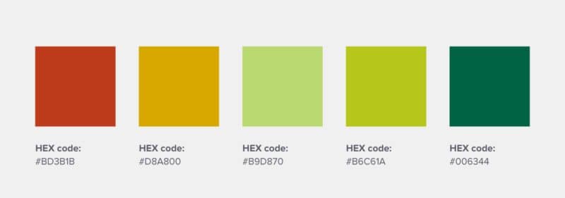 palette de couleurs codes hexagonaux, cultures vivantes hurly burly