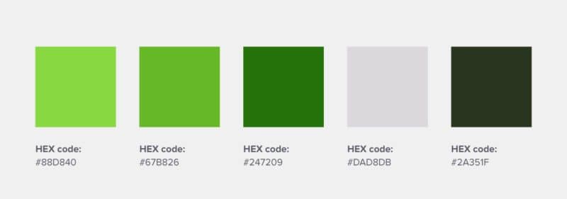 sm protect hexcodes, groen kleurenpalet