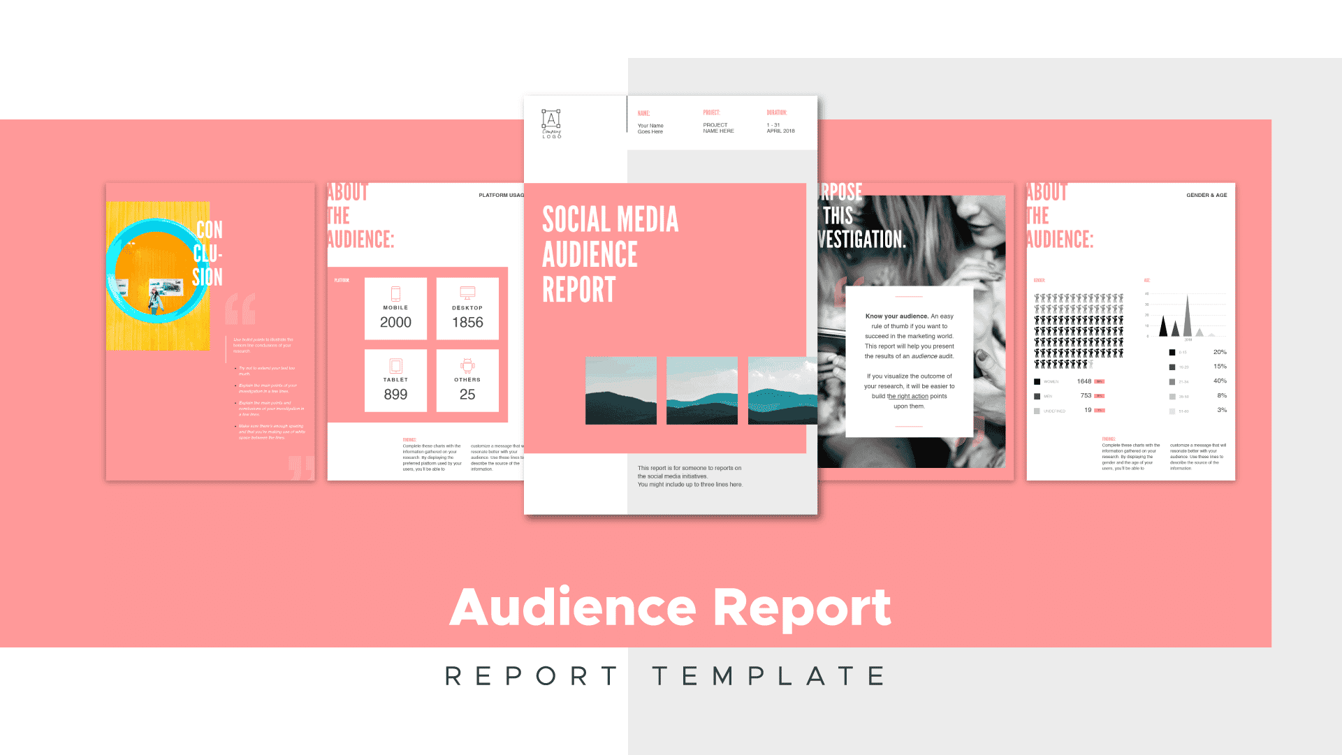 audience report templates