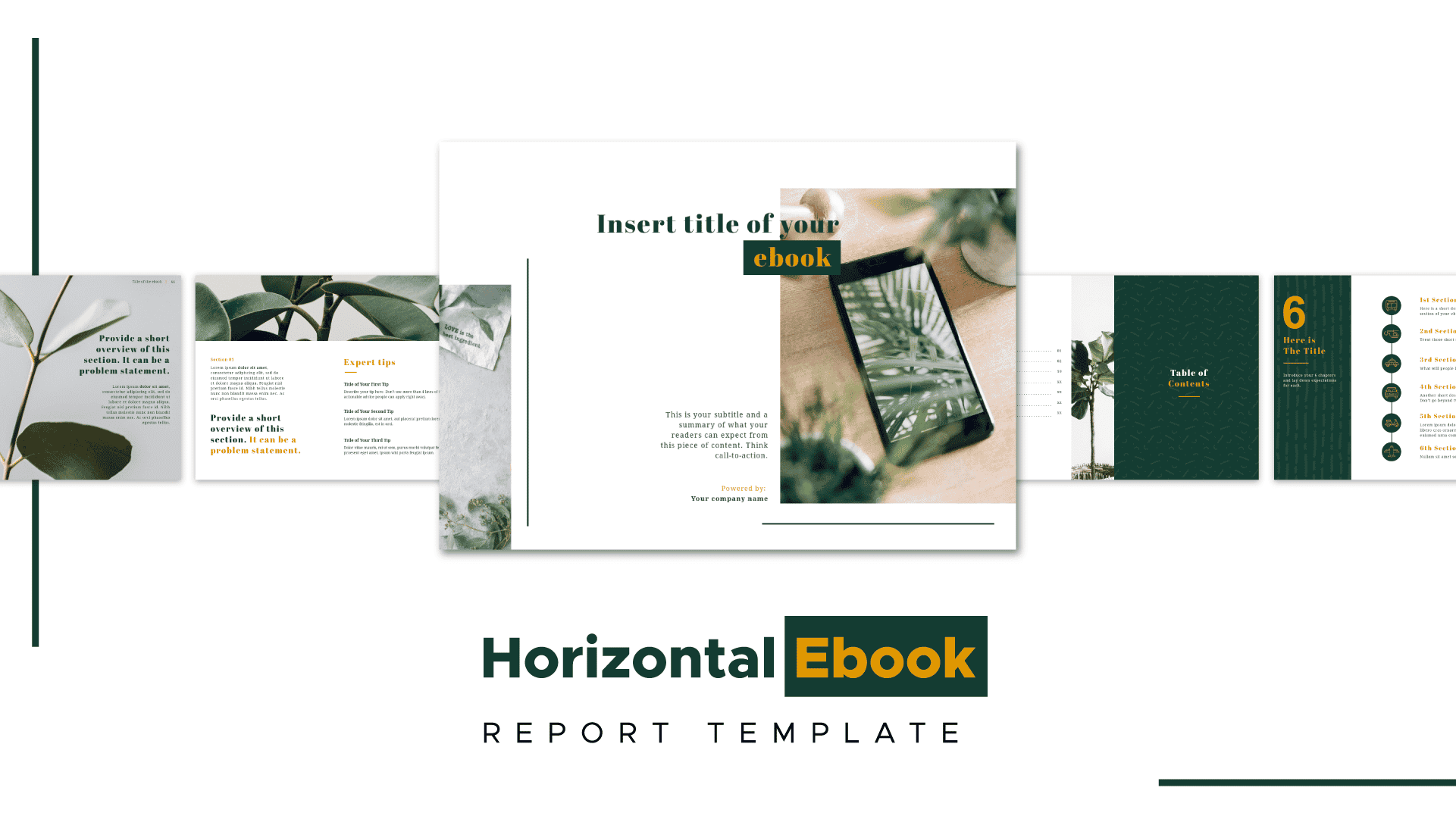 business ebook template