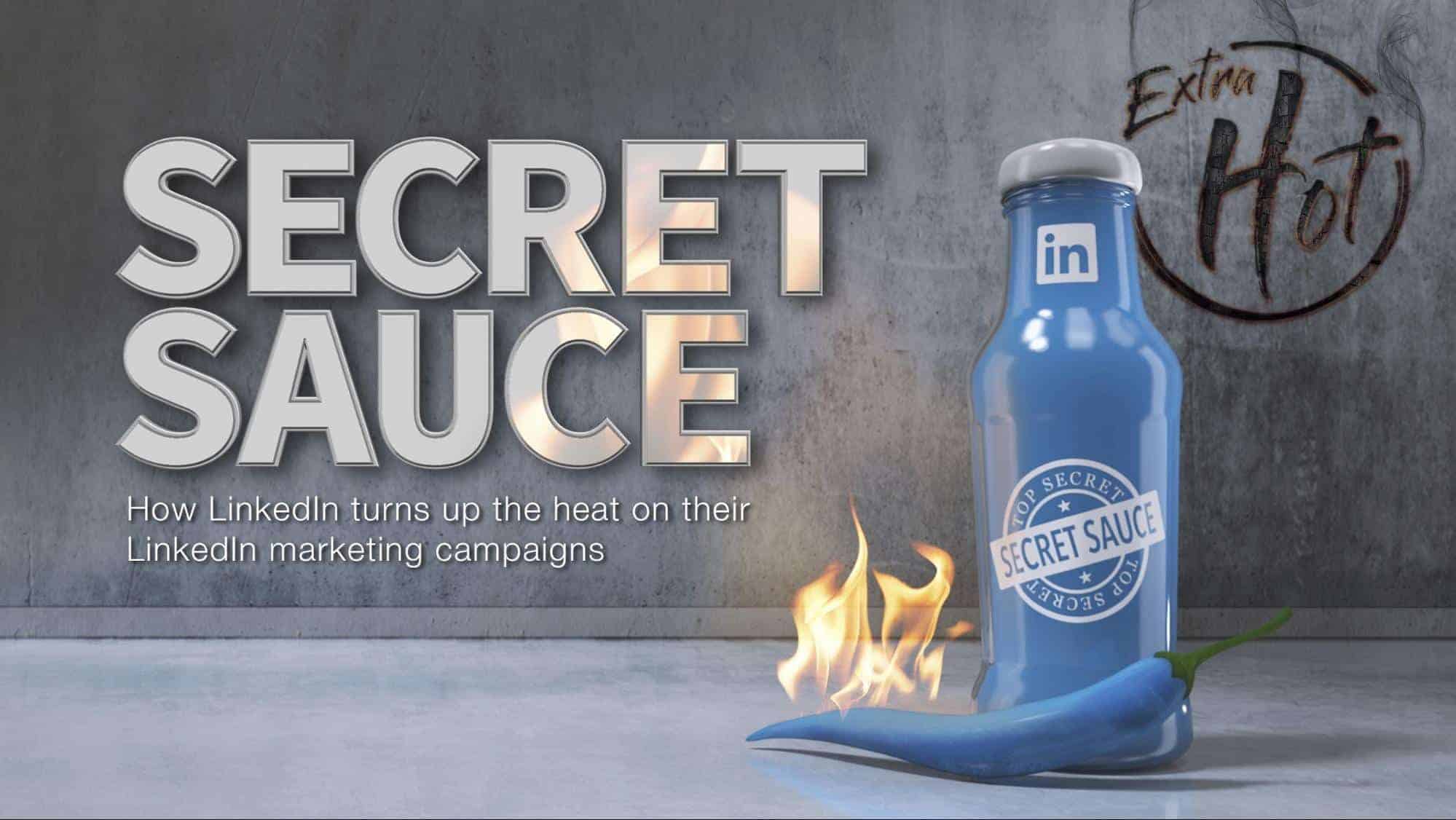 secret sauce linkedin free ebook, book cover inspiration, free book example