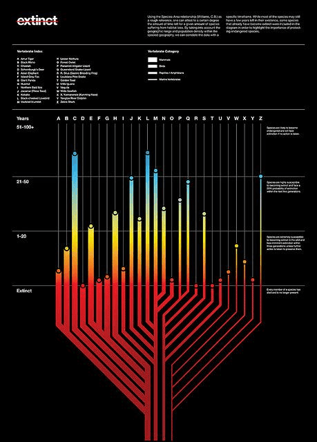 poster de recherche sur l'extinction, visualisation de données percutantes