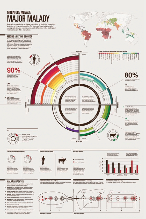 onderzoeksposter, visualisatie gegevensanalyse