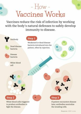 How Vaccines Work Process Infographic Template