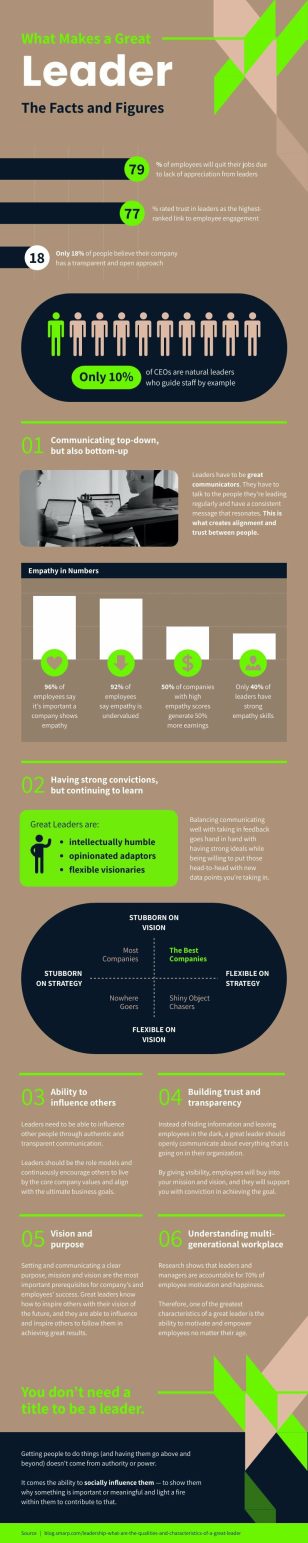 Leadership Statistics Informational Infographic Template