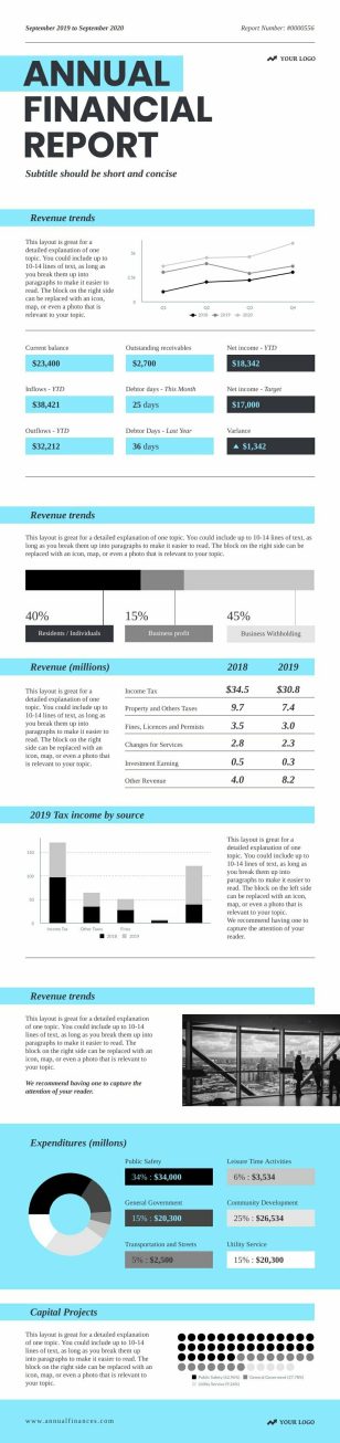 Annual Financial Report Infographics Template