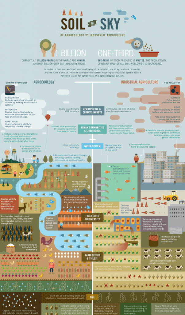 Agroecology vs. Industrial Agriculture creative Infographic 