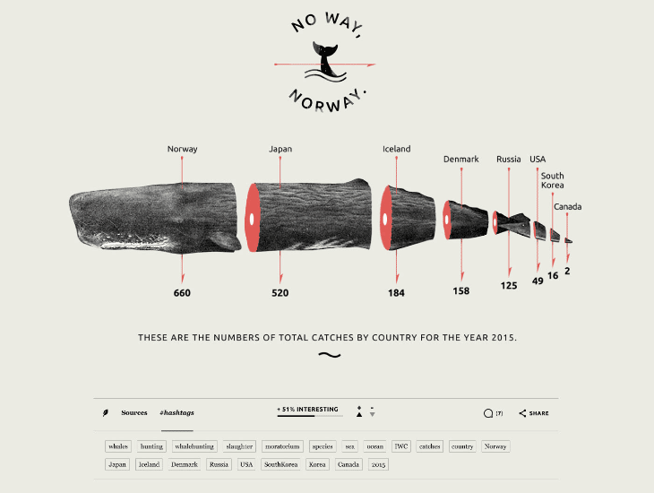 Chit Chart infographic template detailing how many whales get caught every year by country