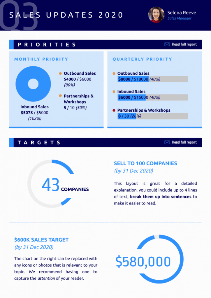 sales report data viz template