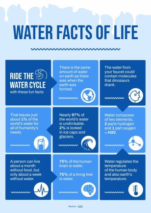 Water Facts of Life Informational Infographic Template