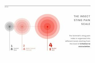 Pain Scale News Visualization Template