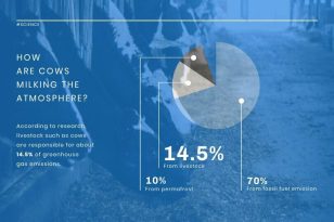 Greenhouse Gas VisualizationTemplate