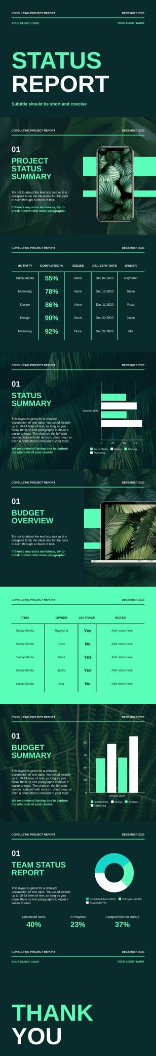 Status Report Business Presentation Template