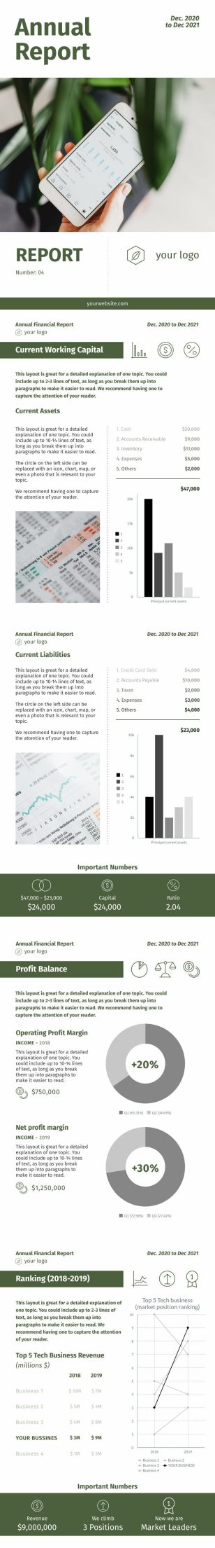 Annual Financial Report 2 Report Template