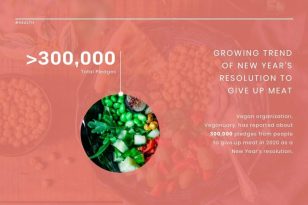 Vegan Pledges News Visualization Template