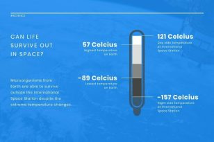Space Life News Visualization Template