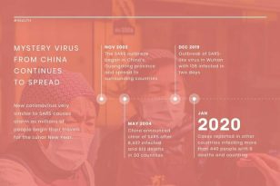 Mystery Virus News Visualization Template