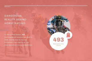 Horse Racing News Visualization Template