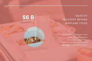 Airplane food News Visualization Template