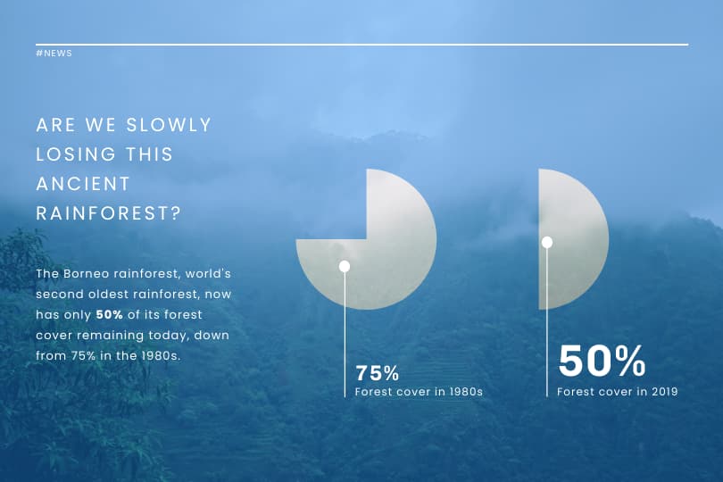 infografis deforestasi, template tentang deforestasi, contoh cara membagikan peristiwa terkini