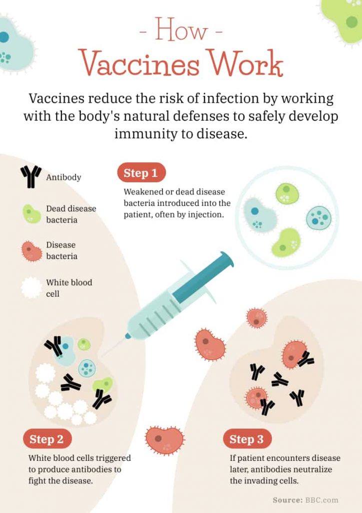 template for how vaccines work