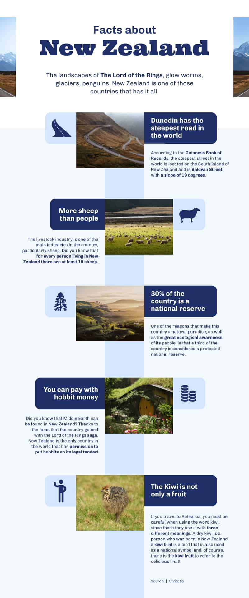 Modelo de infográfico sobre fatos da Nova Zelândia