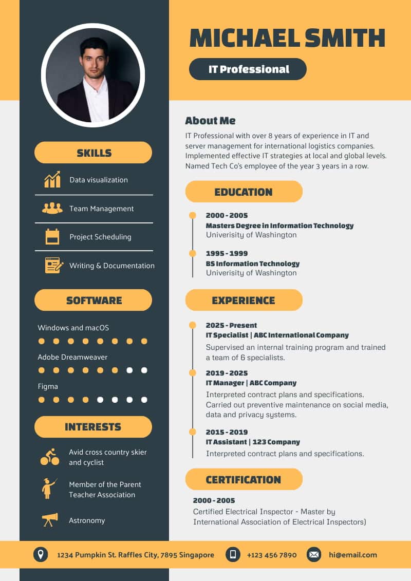 Curriculum vitae d'un professionnel de l'informatique