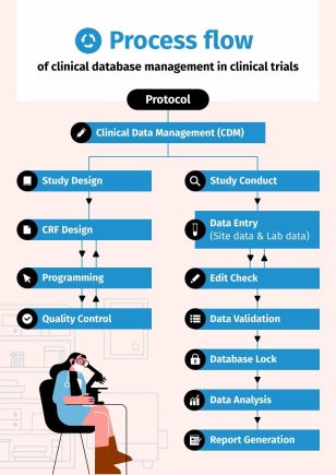 Process Flow Diagram