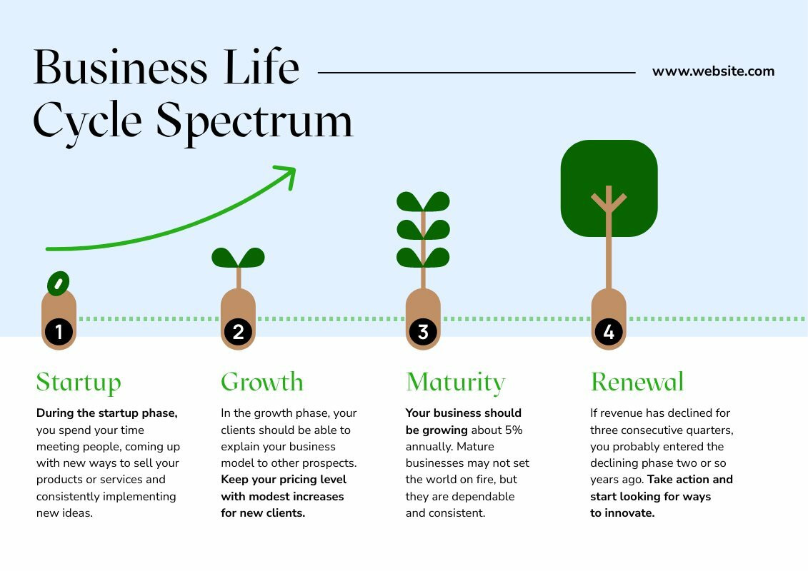 Business Life Cycle Spectrum Pictogram