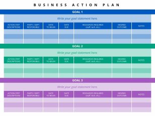 Business Action Plan