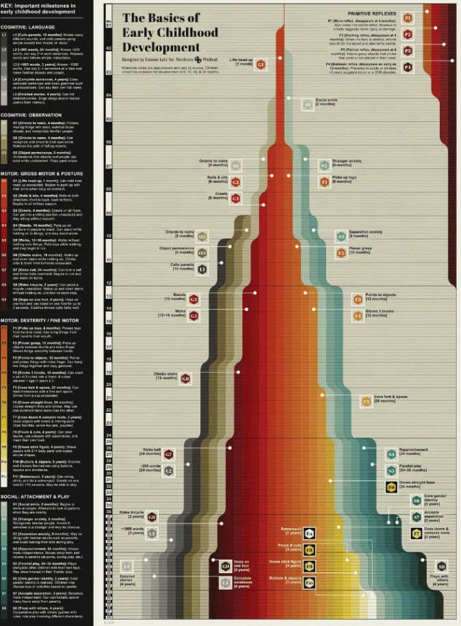 Basics of child development infographic with data visualization tips on how to create informative creative infographics