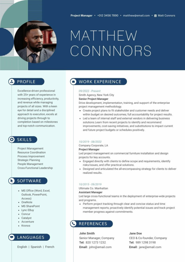 Professional Resume Format