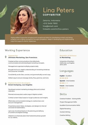 Aesthetic Writer Resume