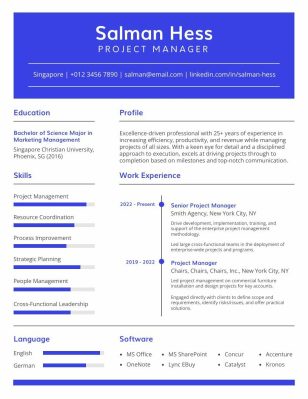 Professional CV