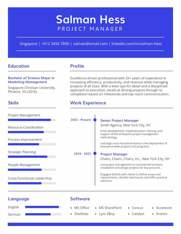 Professional CV