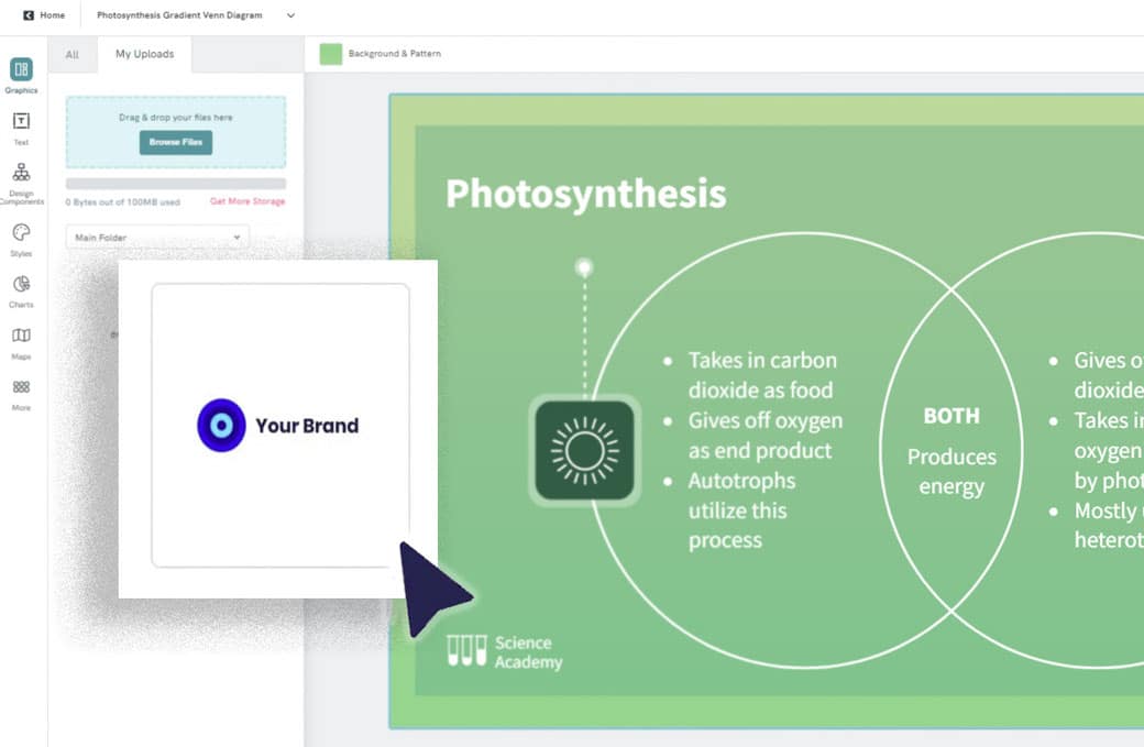 criador de diagrama de Venn, personalização de piktochart mostrando seção sobreposta e interseção de dois círculos