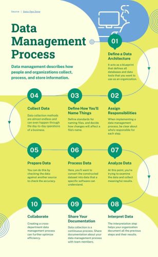 Data Management Process Timeline