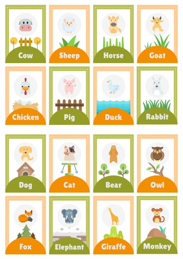 Animal Flashcards