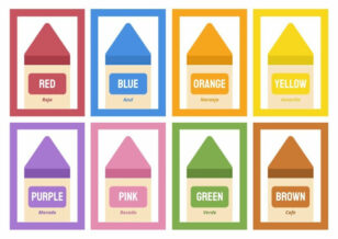 Color Flashcards