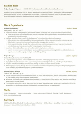 Professional ATS Resume