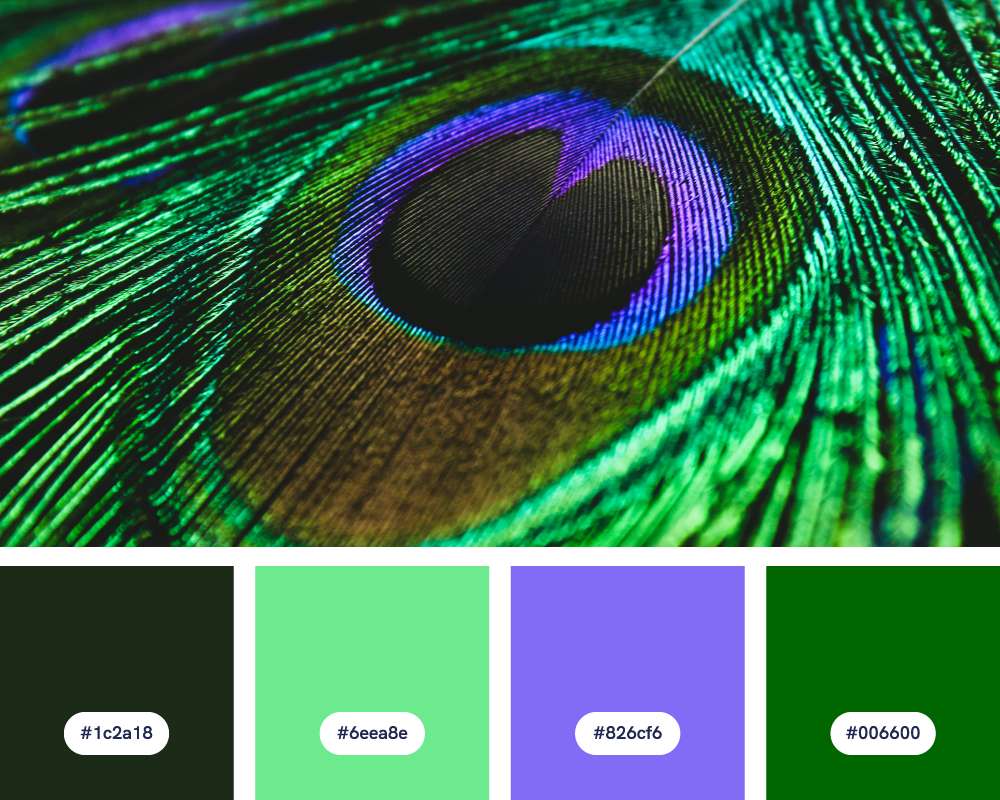 enchanted forest green color palette example