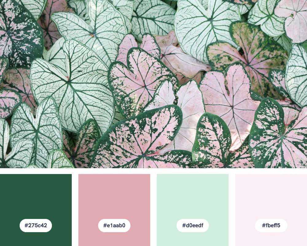 eucalyptus rose green color palette example